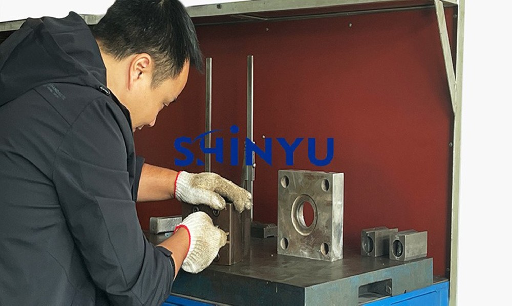 Mold inspection